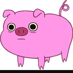 Meet your Posher, Samuel